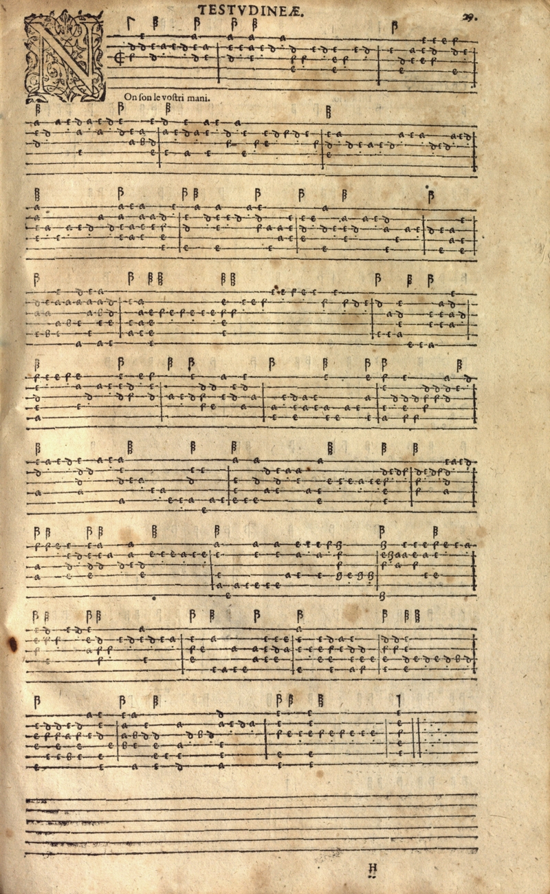 1601 STCN Joachim van den Hove Florida Collectie Scheurleer 1 tn